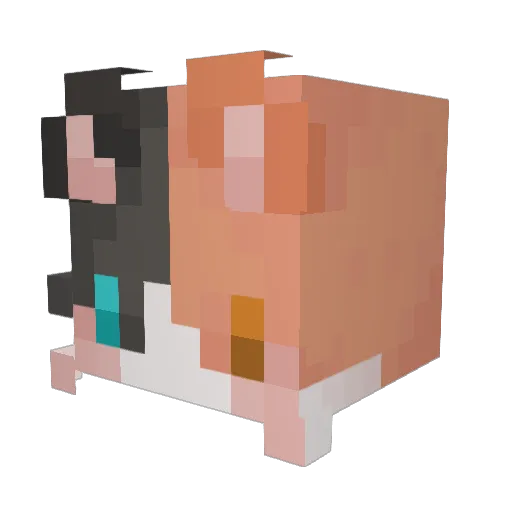 hmaybby Minecraft avatar head, 3D render