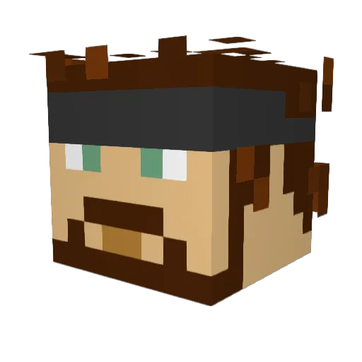 hmbs18 Minecraft avatar head, 3D render