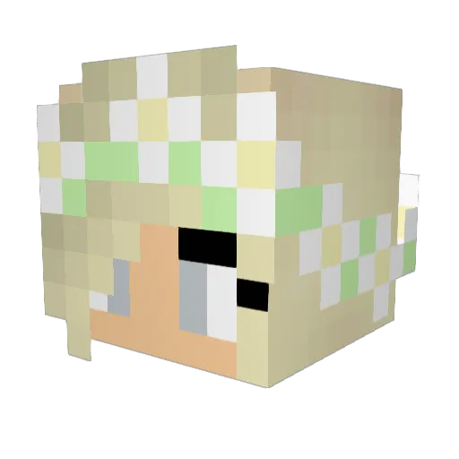 hmjd75 Minecraft avatar head, 3D render