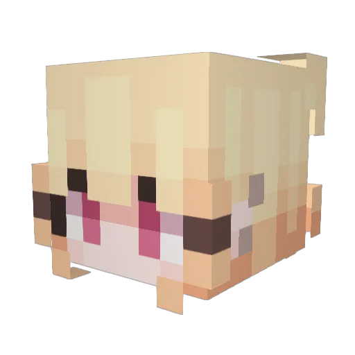 hmmitscray Minecraft avatar head, 3D render