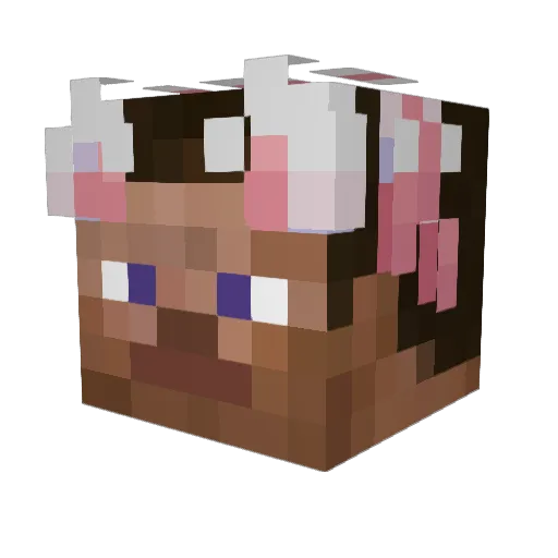 hmmnayring Minecraft avatar head, 3D render