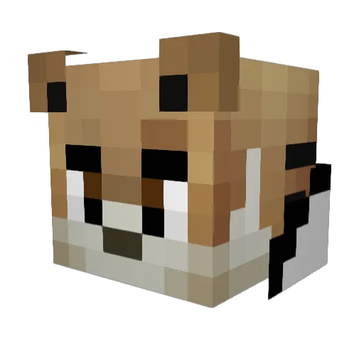 hmodsx511 Minecraft avatar head, 3D render