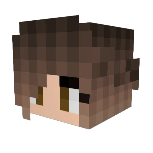 hmuimsad Minecraft avatar head, 3D render