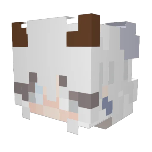 hngol Minecraft avatar head, 3D render