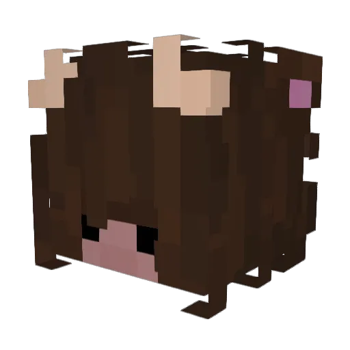 hnlr Minecraft avatar head, 3D render