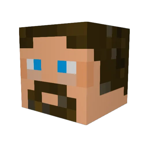 hnwombat Minecraft avatar head, 3D render