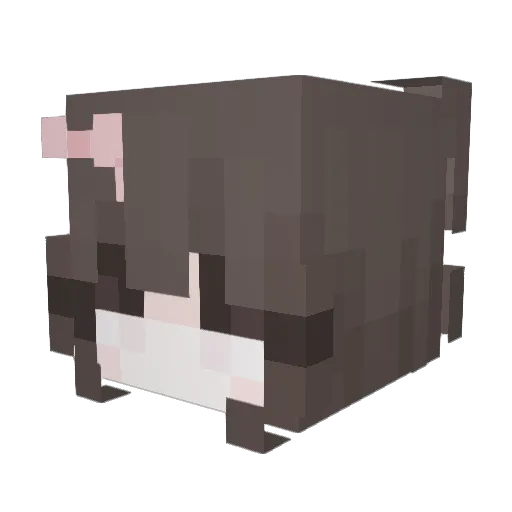 hnys Minecraft avatar head, 3D render