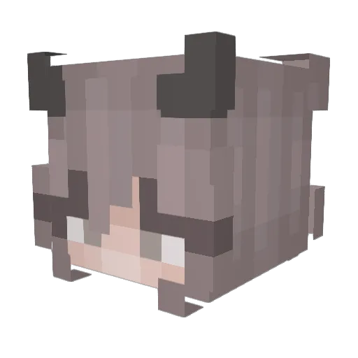 ho0njj Minecraft avatar head, 3D render