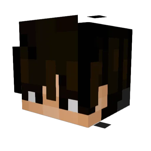 ho1yybtw Minecraft avatar head, 3D render