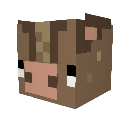 ho____ Minecraft avatar head, 3D render