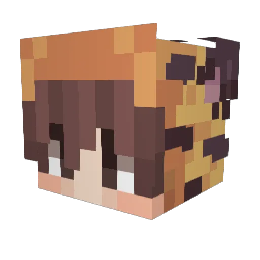 hobaem Minecraft avatar head, 3D render