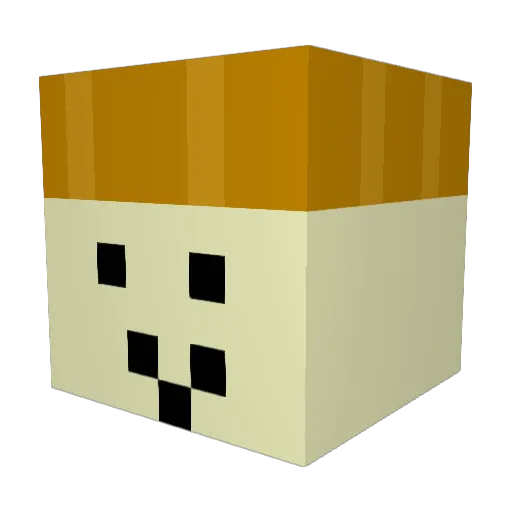 hobak13 Minecraft avatar head, 3D render