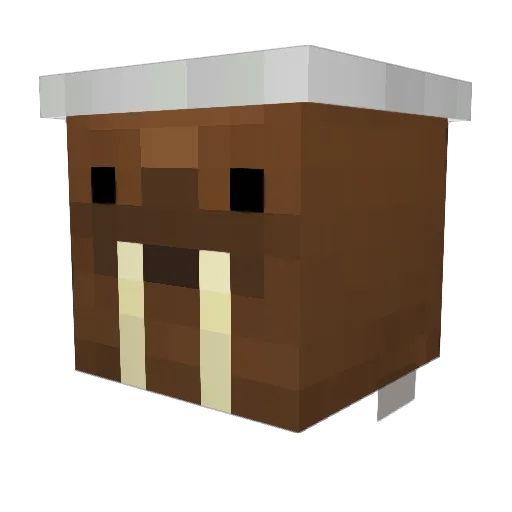 hobbezilla Minecraft avatar head, 3D render