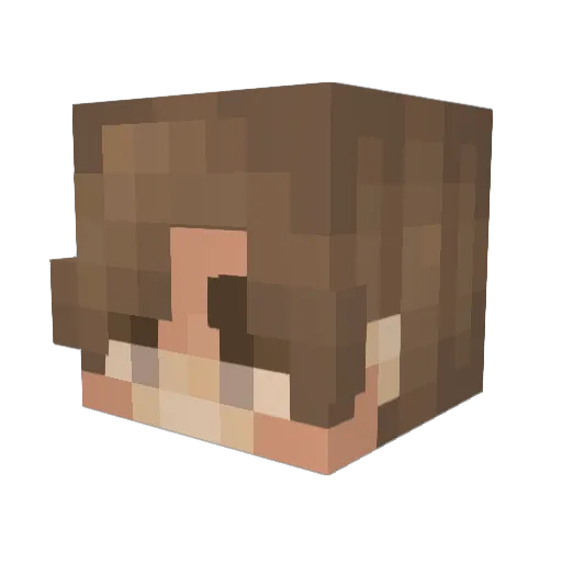 hobbz98 Minecraft avatar head, 3D render