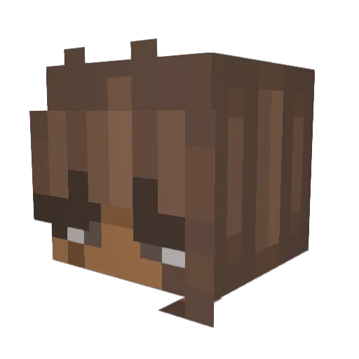 hobinobi Minecraft avatar head, 3D render
