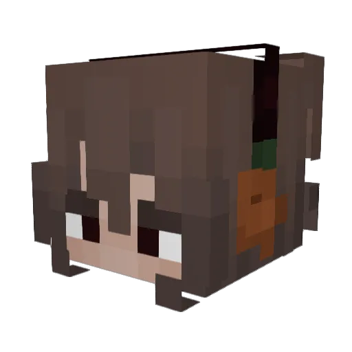 hobo_Monte Minecraft avatar head, 3D render