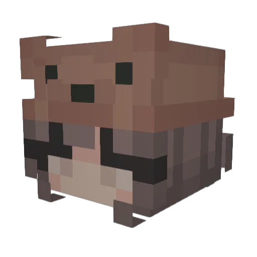 hobodude0 Minecraft avatar head, 3D render