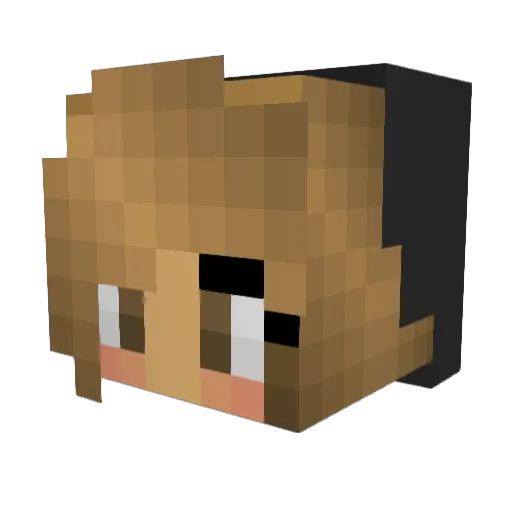 hobojinji Minecraft avatar head, 3D render