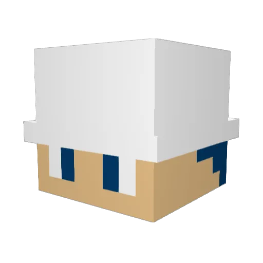 hobomodosixo Minecraft avatar head, 3D render