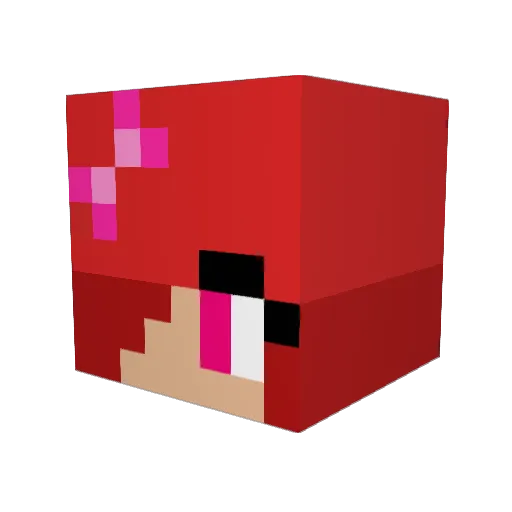 hoboslaya Minecraft avatar head, 3D render
