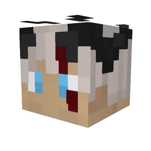 hock17 Minecraft avatar head, 3D render