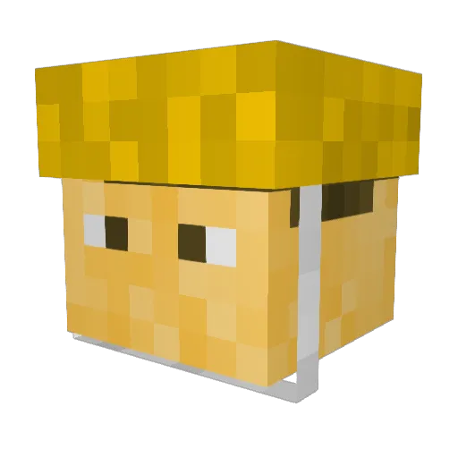 hockey_macke Minecraft avatar head, 3D render