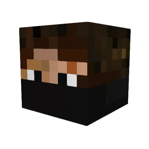 hockeyplayer18 Minecraft avatar head, 3D render