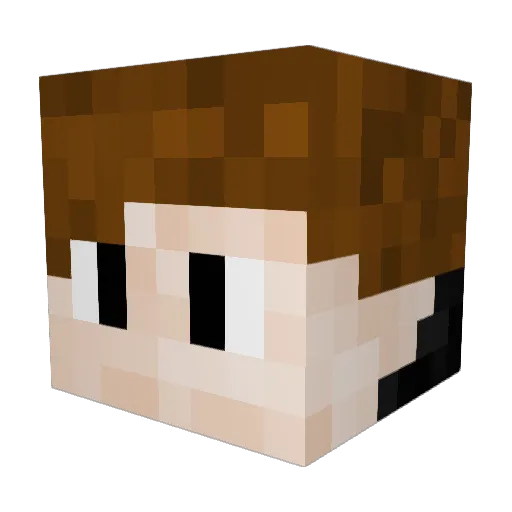 hockeyshark Minecraft avatar head, 3D render