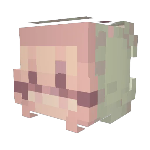 hocopoco_q Minecraft avatar head, 3D render