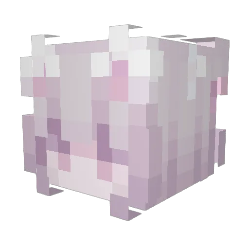hoeer Minecraft avatar head, 3D render
