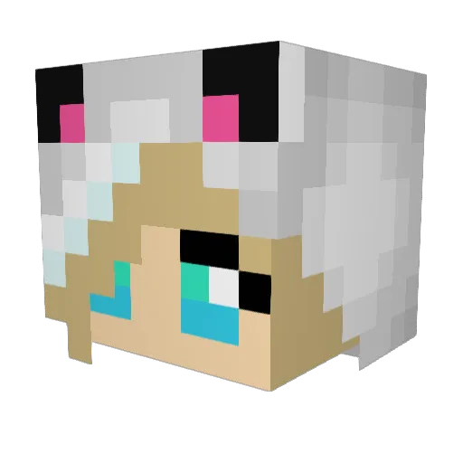 hoefers Minecraft avatar head, 3D render