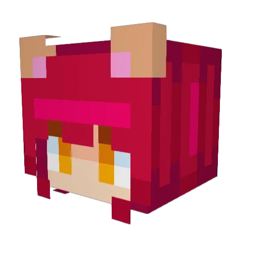 hoegups Minecraft avatar head, 3D render