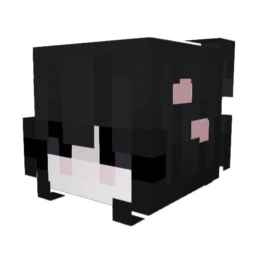 hoesop Minecraft avatar head, 3D render