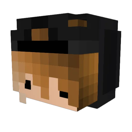 hofi201 Minecraft avatar head, 3D render