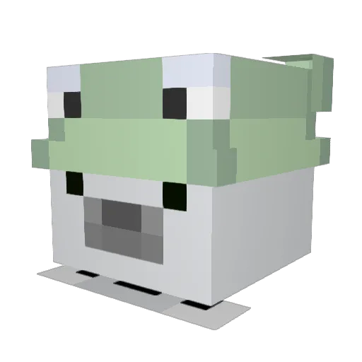 hofoo7 Minecraft avatar head, 3D render