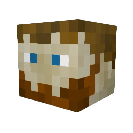 hogcranked Minecraft avatar head, 3D render