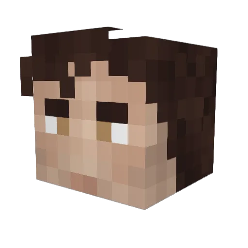hogdriver99 Minecraft avatar head, 3D render