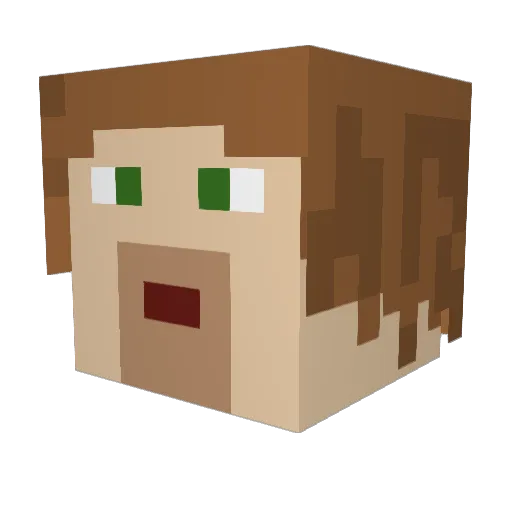 hogelto Minecraft avatar head, 3D render