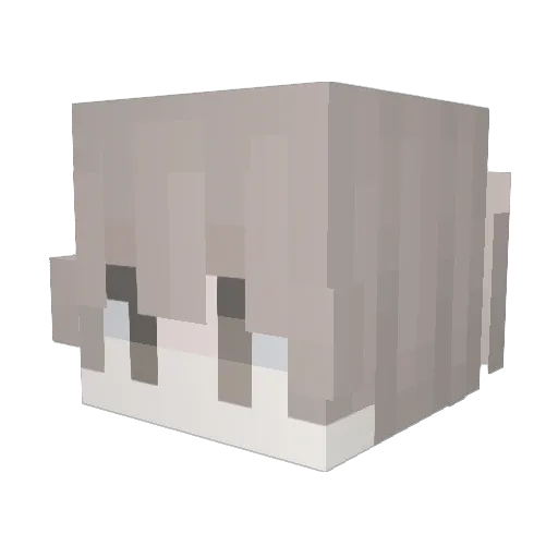 hogeunn Minecraft avatar head, 3D render