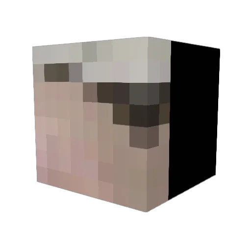 hoggridaa Minecraft avatar head, 3D render
