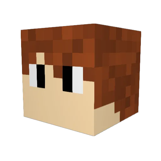 hoho1010 Minecraft avatar head, 3D render