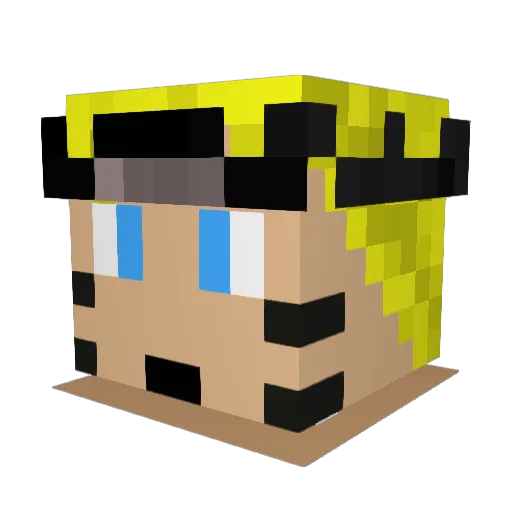 hoiboi_ Minecraft avatar head, 3D render