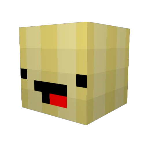 hoichew Minecraft avatar head, 3D render