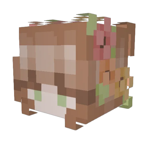 hoihoi520 Minecraft avatar head, 3D render