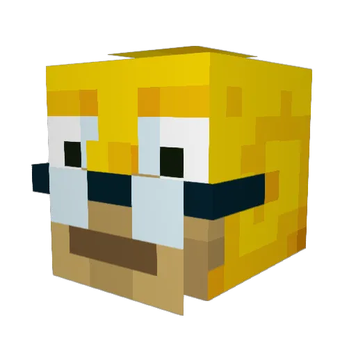 hoingus Minecraft avatar head, 3D render