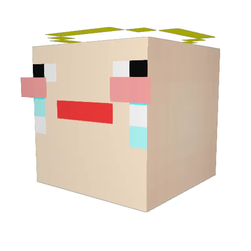 hojae1 Minecraft avatar head, 3D render