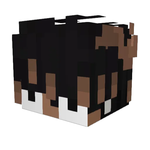 hojo1980 Minecraft avatar head, 3D render