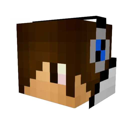 hoker_x Minecraft avatar head, 3D render