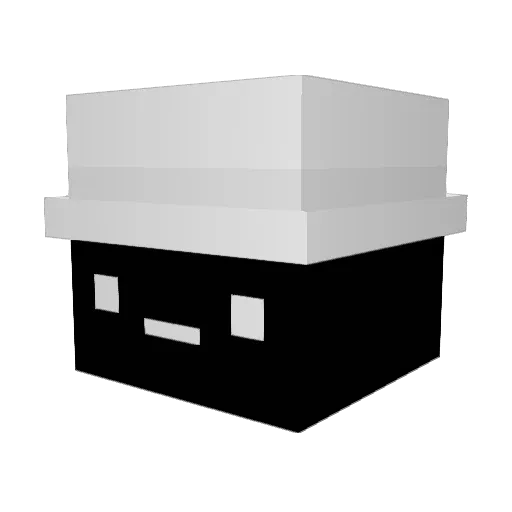 hokerbackontop Minecraft avatar head, 3D render