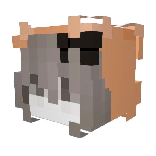 hokindo9000 Minecraft avatar head, 3D render